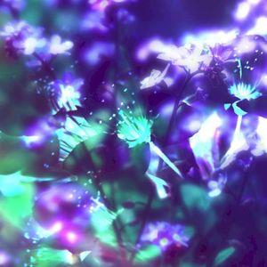 Bliss (Single)