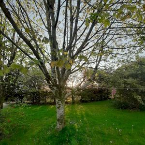 Live, Outside (Live)