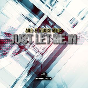 Just Let Me In (Single)