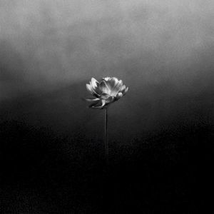 Young (Single)
