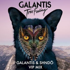 True Feeling (Galantis & shndō VIP mix)