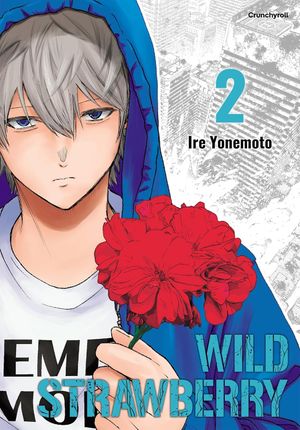 Wild Strawberry, tome 2