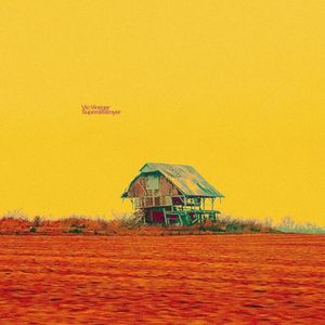 △ Vic Vinegar (Single)