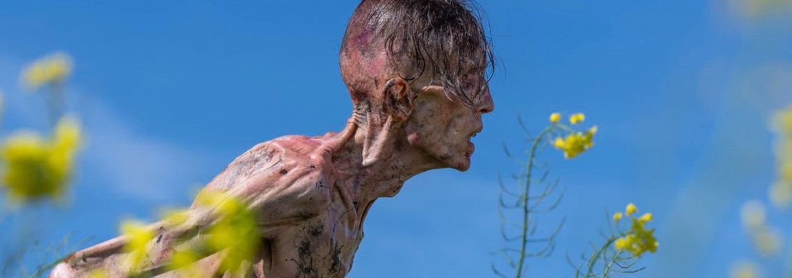 Cover 28 ans plus tard