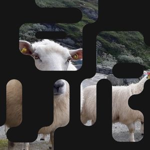 ARU (EP)