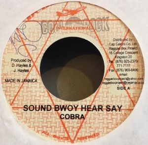 Sound Bwoy Hear Say / I Am Wicked (Single)