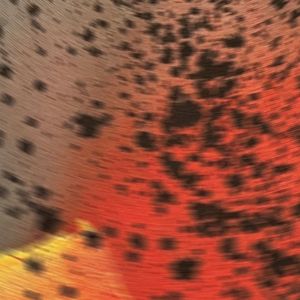 Pareidolia III (EP)