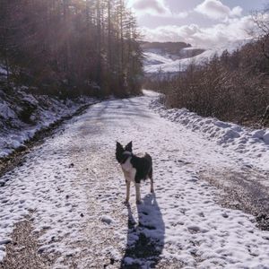 The Longest Day (Single)