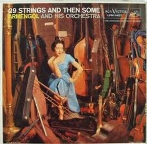 29 Strings and Then Some
