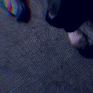 Angeles (Single)