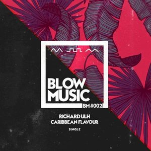 CARIBBEAN FLAVOUR (Single)