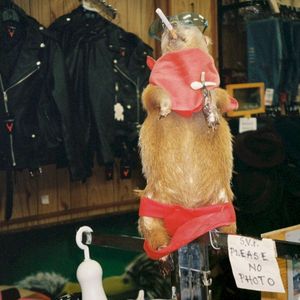 Don't Wanna Know (Single)
