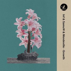 Growth (Single)