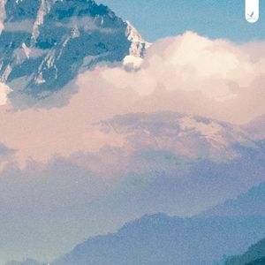 Calm the Storm (Single)