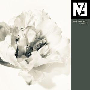 Polarizer (Single)