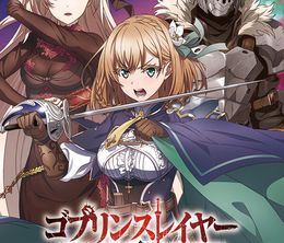 image-https://media.senscritique.com/media/000022859013/0/goblin_slayer_another_adventurer_nightmare_feast.jpg