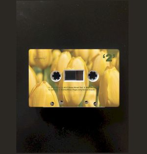 LP2