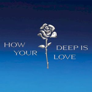 How Deep Is Your Love (Single)