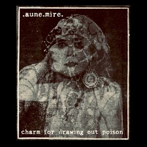 Charm for Drawing Out Poison (Single)