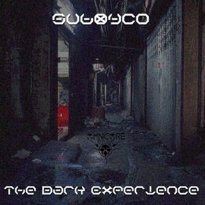 The Dark Experience