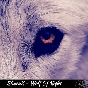 Wolf of Night (Single)