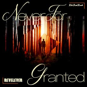 Never For Granted (Single)