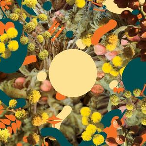 Morning Sun (Single)