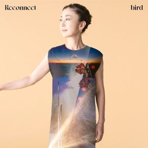 Reconnect