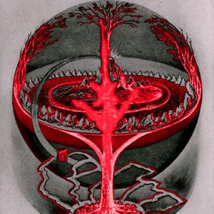 FEED THE EARTH (Single)
