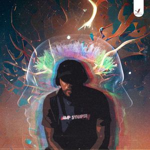 Amp Synapse (Single)