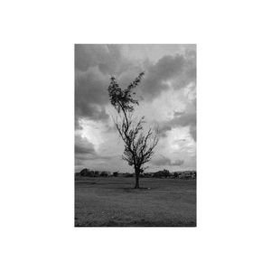 Quiet Storm (Single)