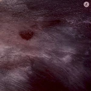 Distance (Single)