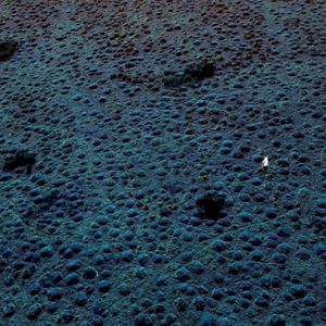 Sonder (Single)