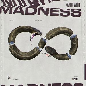 Madness (Single)