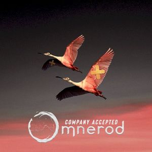 Company Accepted (Single)