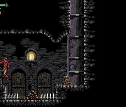 image-https://media.senscritique.com/media/000022869201/0/chronicles_of_the_wolf.jpg