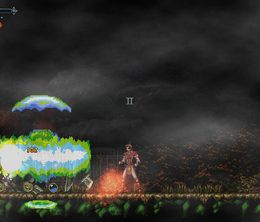 image-https://media.senscritique.com/media/000022869202/0/chronicles_of_the_wolf.jpg