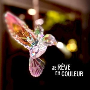 Je rêve en couleur (Single)