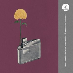 Light My Flower (Single)
