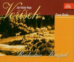Sonata in B-flat minor, op. 20: I. Allegro con brio