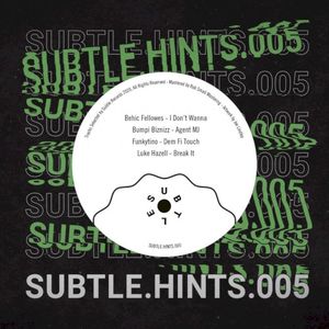 SUBTLE.HINTS.005 (EP)