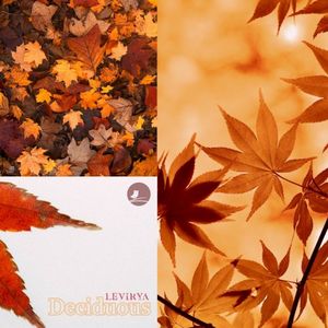 Deciduous (Single)