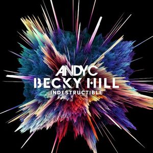 Indestructible (Single)
