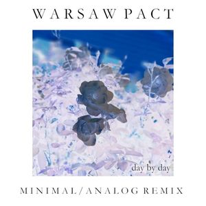 Day by Day (minimal analog remix)