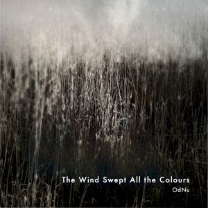 The Wind Swept All the Colours