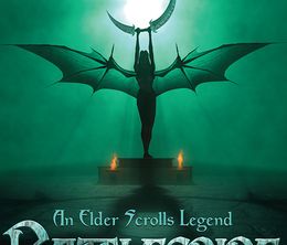 image-https://media.senscritique.com/media/000022874949/0/an_elder_scrolls_legend_battlespire.jpg