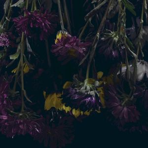 Climate Change (EP)
