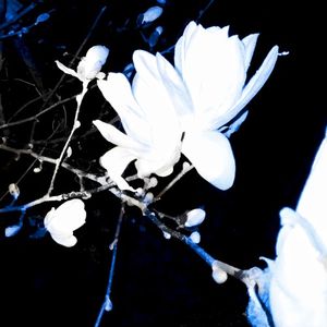 Я - це ти (Single)