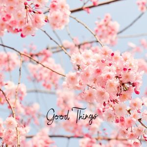 Good Things (Single)