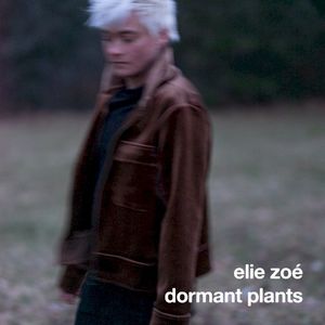 Dormant Plants (Single)
